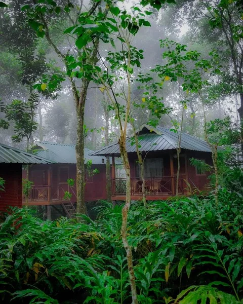 Куттикканам: Monsoon Retreats