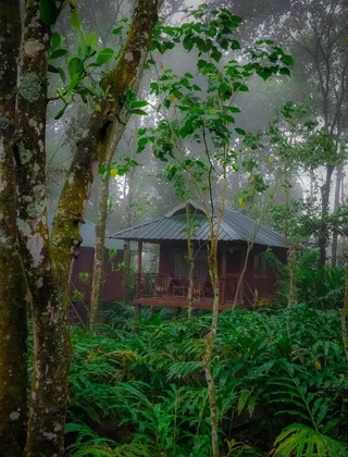 Куттикканам: Monsoon Retreats