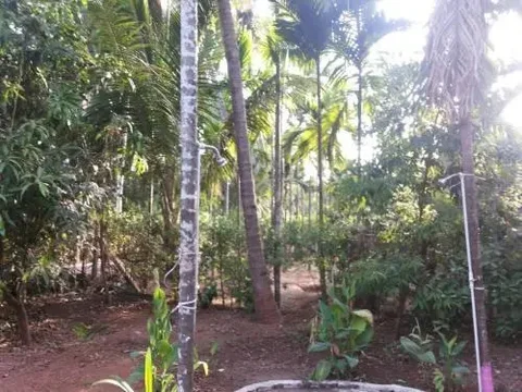 Муруд: Tendulkar Beach Resort