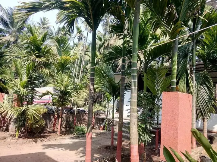 Муруд: Tendulkar Beach Resort