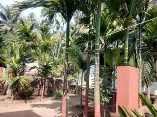 Муруд: Tendulkar Beach Resort