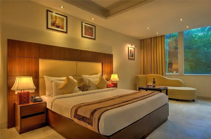 Нью-Дели: Hotel Regent Continental