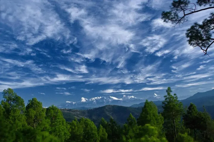 Раникхет: Woodsvilla Resort