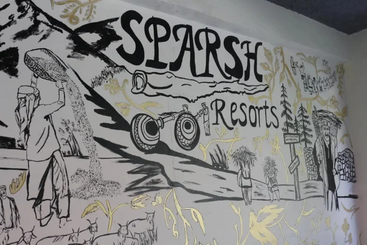 Манали: Sparsh Resort