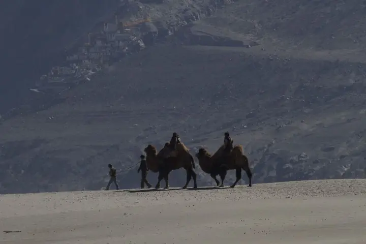 Лех: Chamba Camp Thiksey