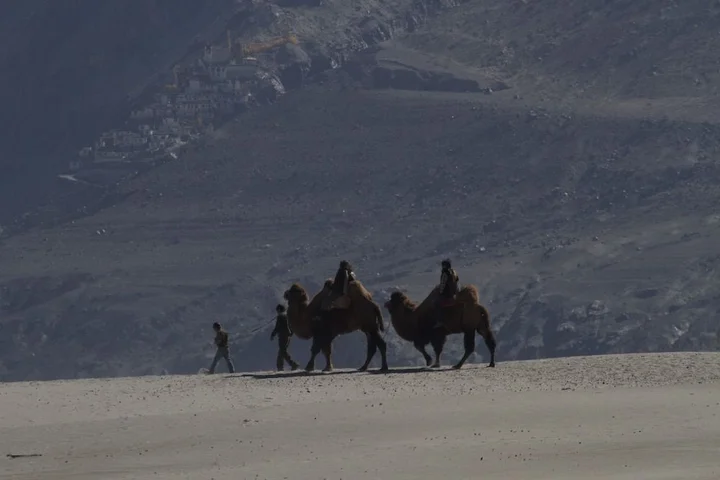 Лех: Chamba Camp Thiksey