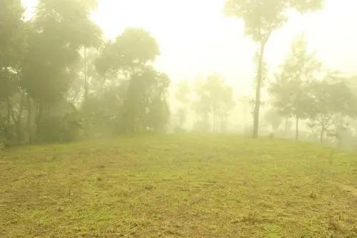 Куттикканам: Verdant Vagamon