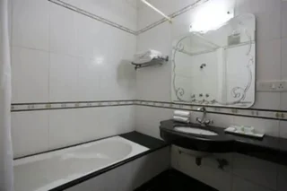 Нью-Дели: Airport Hotel
