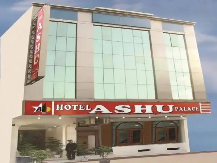 Нью-Дели: OYO 8505 Hotel Ashu Palace