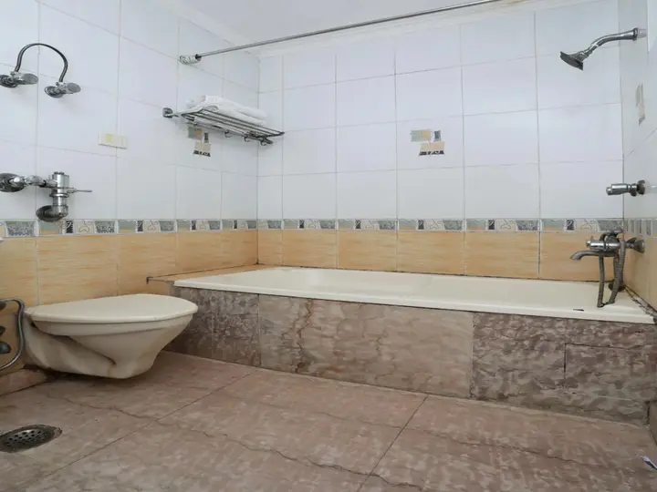 Нью-Дели: OYO 8505 Hotel Ashu Palace