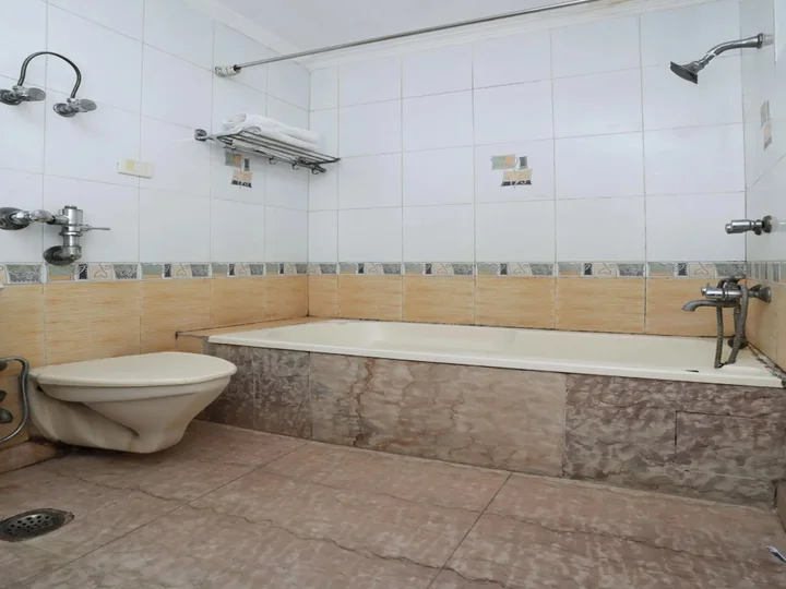 Нью-Дели: OYO 8505 Hotel Ashu Palace