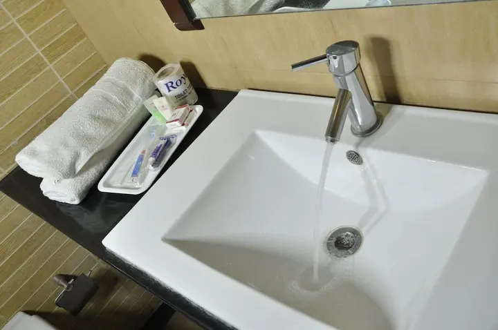 Тирруччираппалли: Hotel Shaans