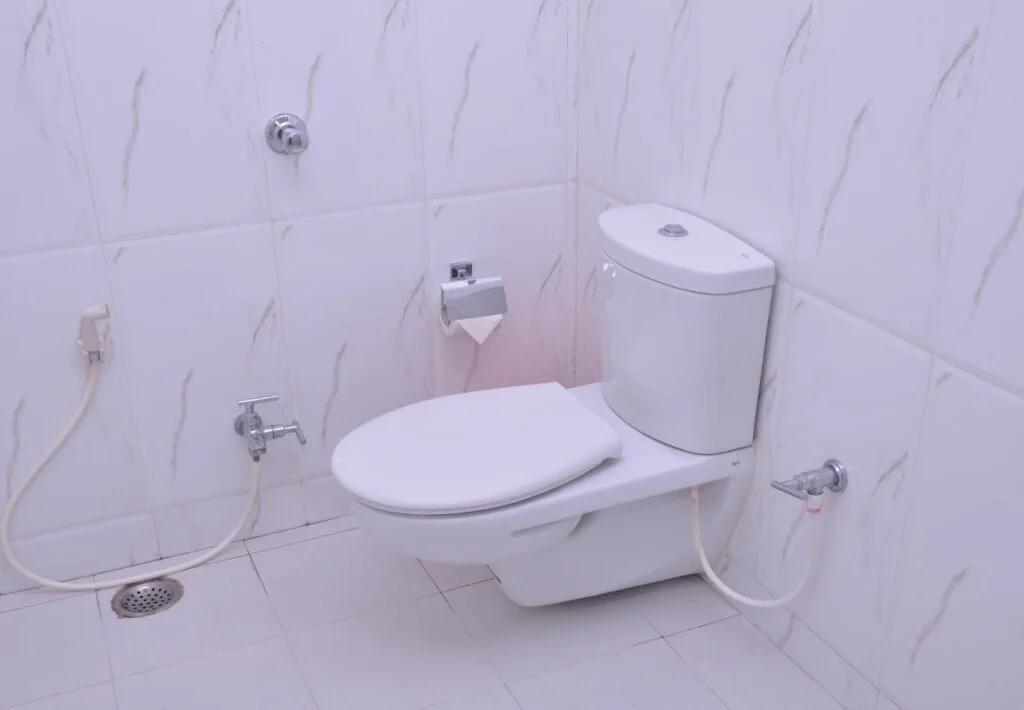 Патна: Hotel Ashoka Residency