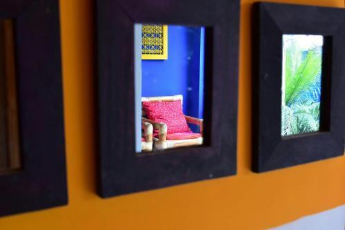 Агра: The Coral Tree Homestay