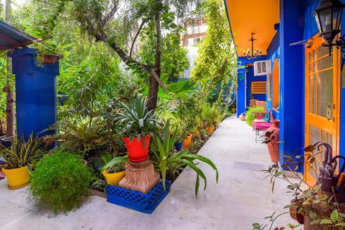 Агра: The Coral Tree Homestay