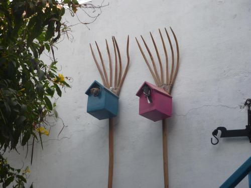 Агра: The Coral Tree Homestay