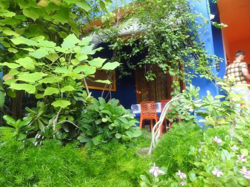 Агра: The Coral Tree Homestay