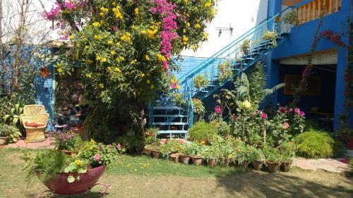 Агра: The Coral Tree Homestay