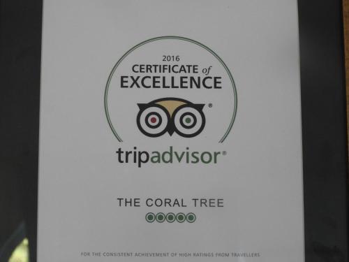 Агра: The Coral Tree Homestay