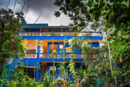 Агра: The Coral Tree Homestay