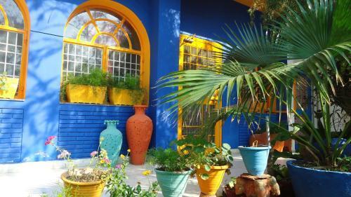 Агра: The Coral Tree Homestay