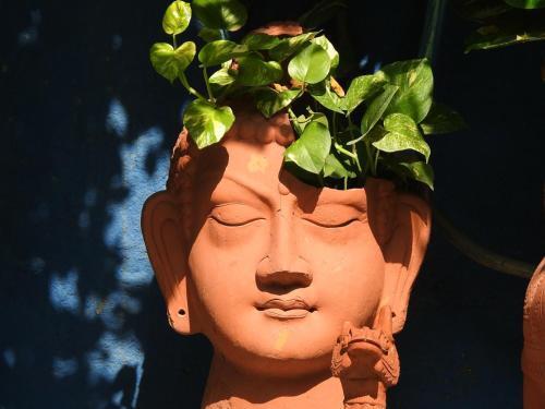 Агра: The Coral Tree Homestay