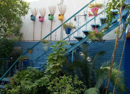Агра: The Coral Tree Homestay