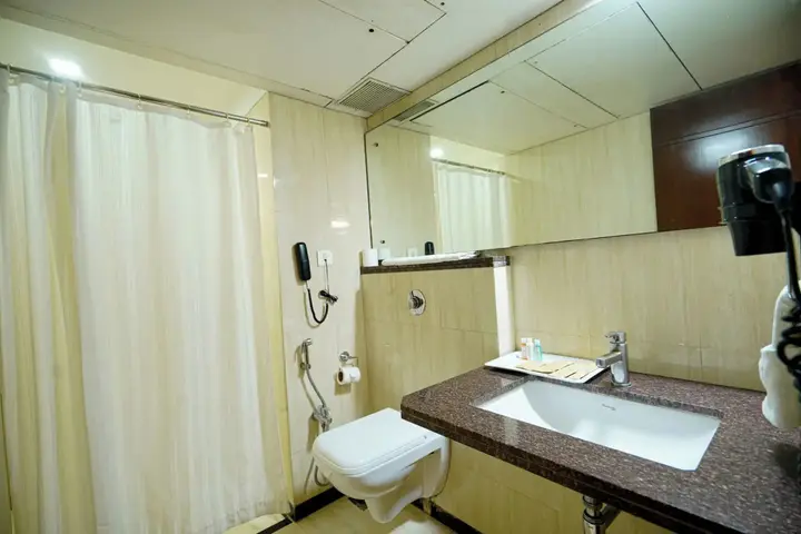 Райпур: Hotel Mayura