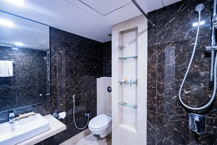 Райпур: Hotel Mayura