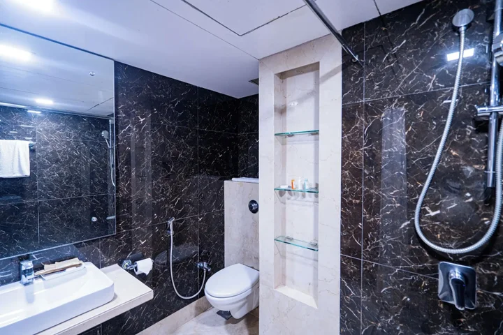 Райпур: Hotel Mayura