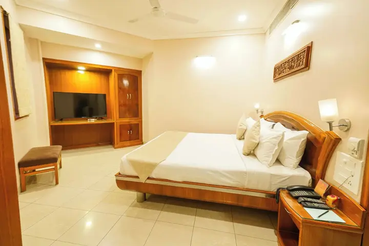 Райпур: Hotel Mayura