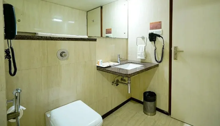 Райпур: Hotel Mayura