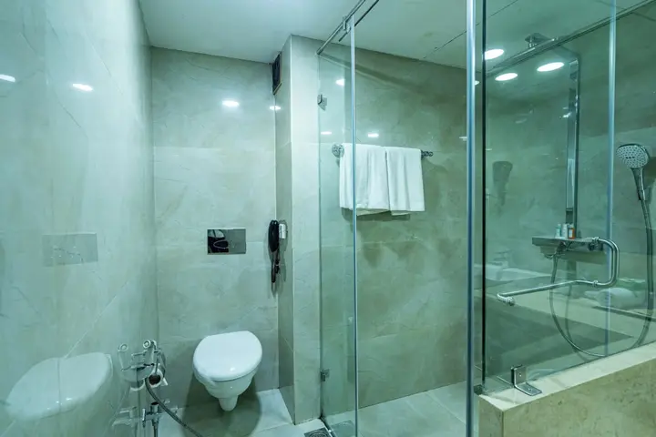 Райпур: Hotel Mayura