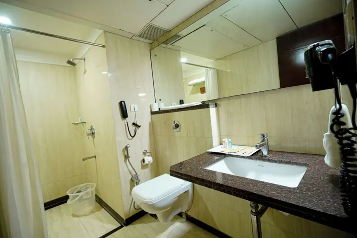 Райпур: Hotel Mayura