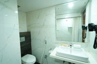 Райпур: Hotel Mayura