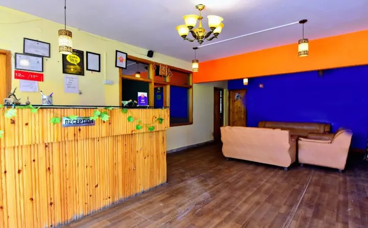 Манали: Hotel Peak View