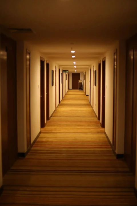 Хидерабад: The Altruist Business Hotel