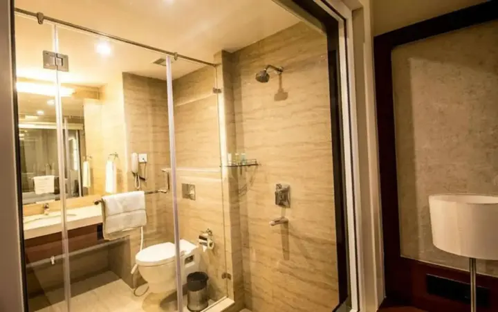 Хидерабад: The Altruist Business Hotel