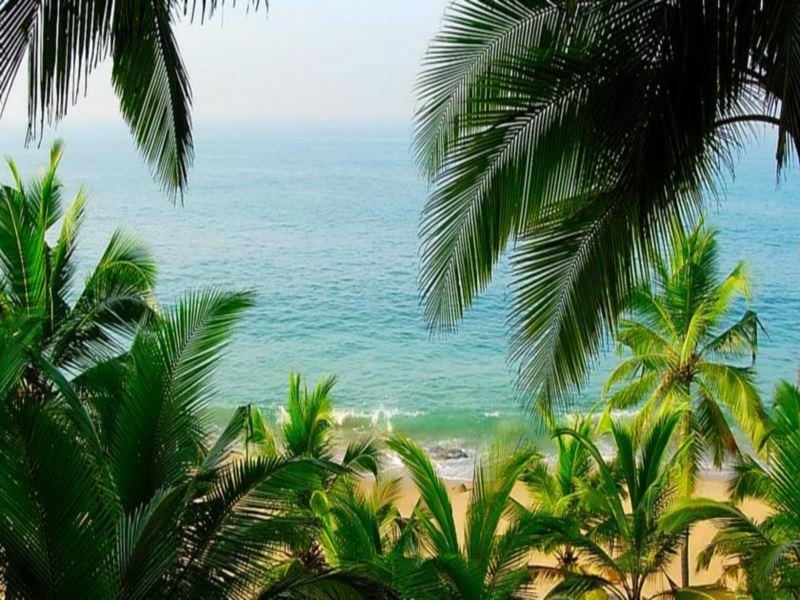 Paradise Gardens Beach Resort — фото 4
