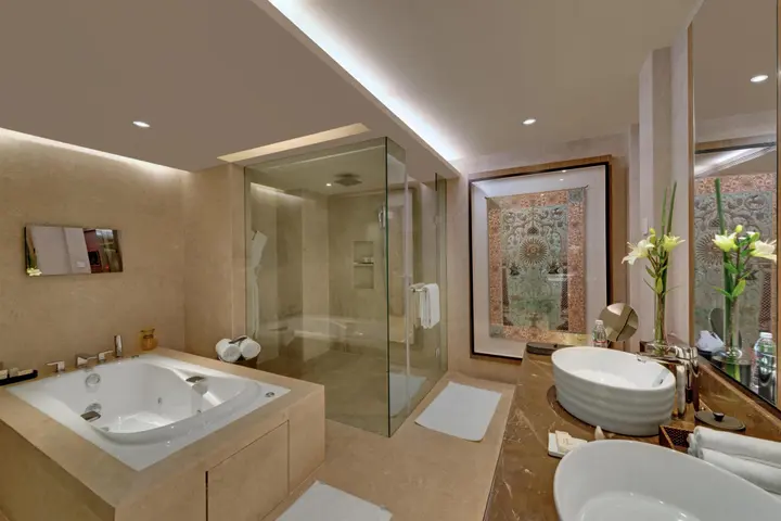 Ахмедабад: Hyatt Regency Ahmedabad