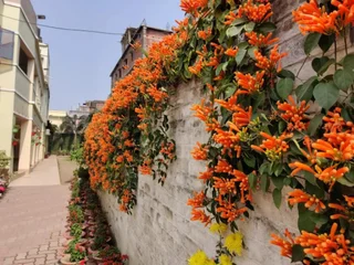 Катихар: Hotel Satkar