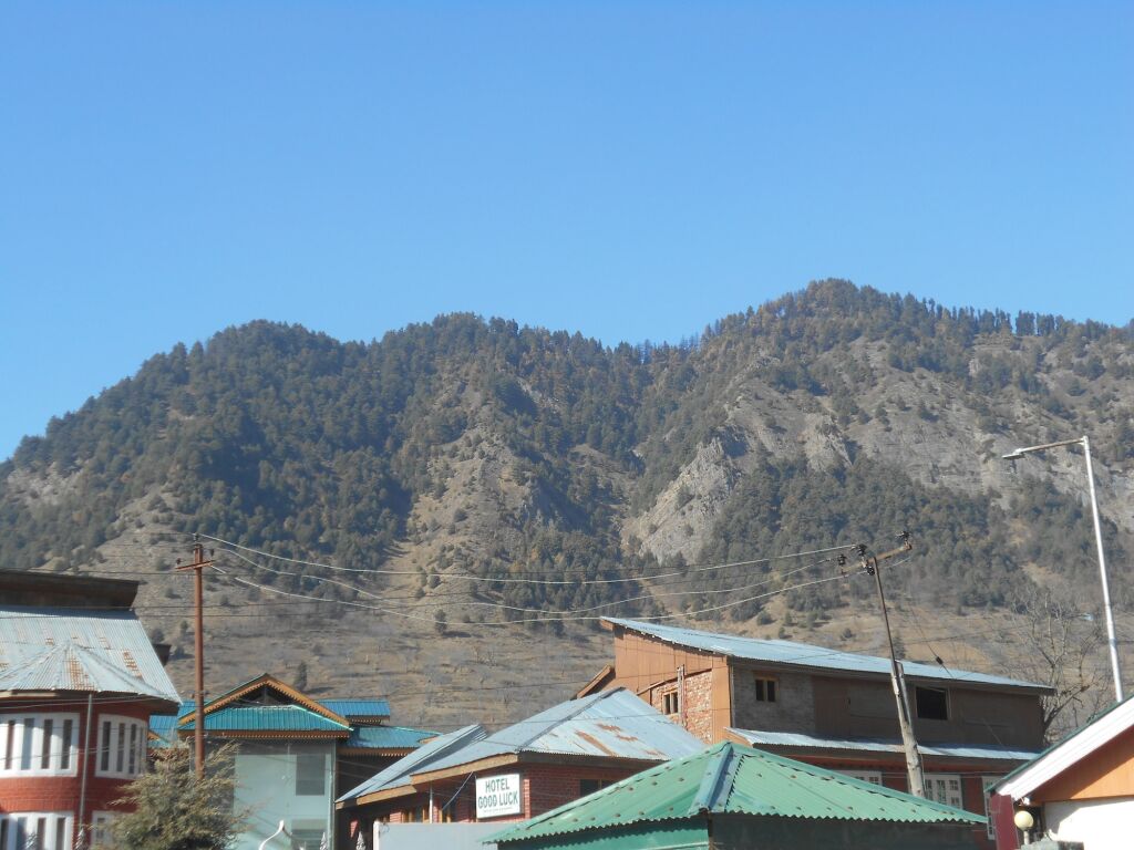 Пахалгам: Hotel Abshar