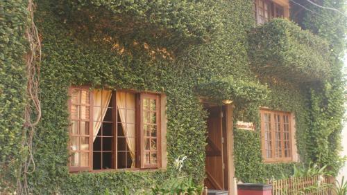 Коччи: Raintree Lodge