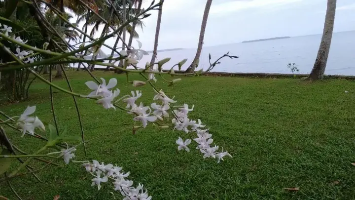 Мухамма: Vembanad House Boutique Back Water Homestay
