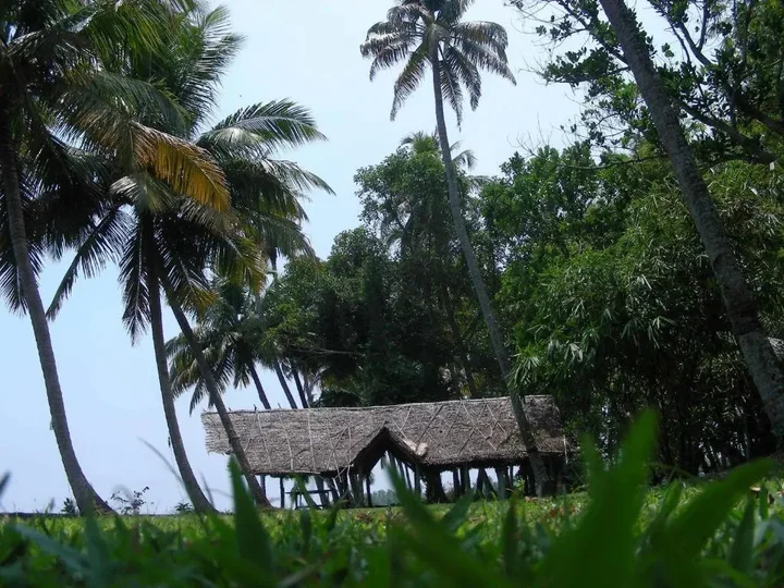 Мухамма: Vembanad House Boutique Back Water Homestay