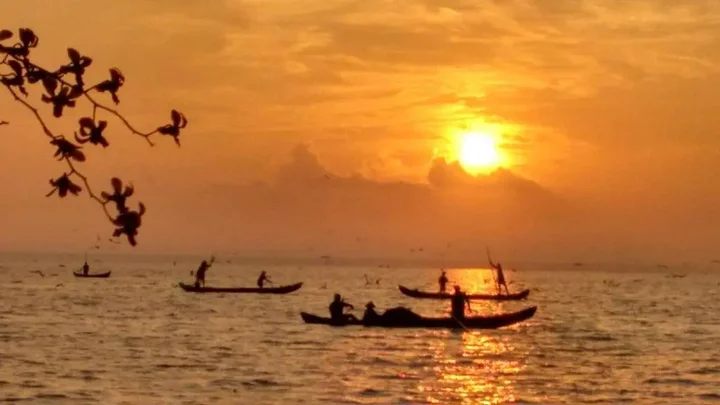 Мухамма: Vembanad House Boutique Back Water Homestay