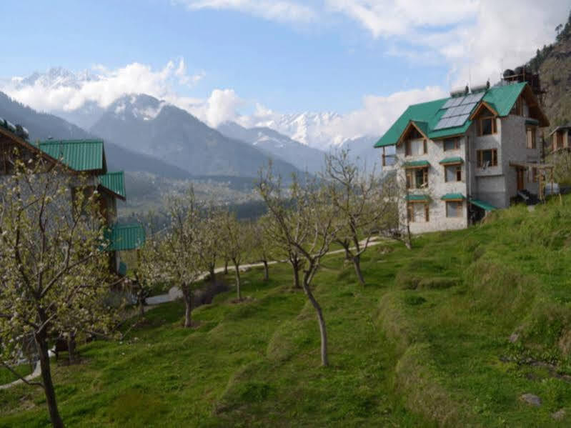 Манали: The White Stone Resorts