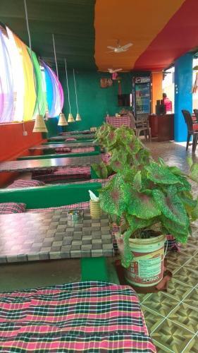 Хоспет: Herman's Guest house