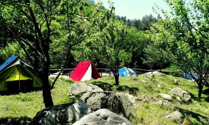Гушайни: Tirthan Holidays Camp & Cottages