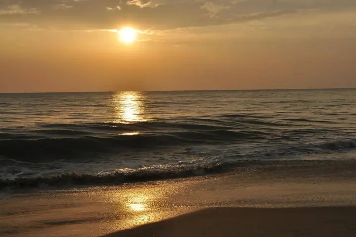 Аллеппи: The Wind n Waves